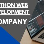 How To Choose the Right Python Web Development Company?